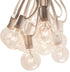 Hometown Evolution, Inc. 10 Foot Globe String Lights (10 Foot, G40 Clear