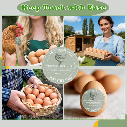 500 500 Packaging Pcs Egg Carton Stickers and Pcs Please Return Egg cartons Stickers,Self Adhesive Waterproof