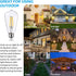 TORCHSTAR ST64 Dusk to Dawn Light Bulbs, Vintage LED Edison, 7W Equivalent 75W, Auto On/Off, E26 Base, Pack of 6