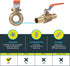 SharkBite 3/4 Inch Expansion Ball Valve for PEX-A Pipe, Brass Fittings for PEX A Tubing, UAB22462LFA