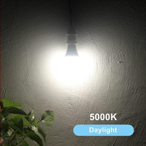 Dusk to Dawn Light Bulbs, 60W Equivalent, Daylight LED 9.5W, A19, 2-Pack, HQ-H011