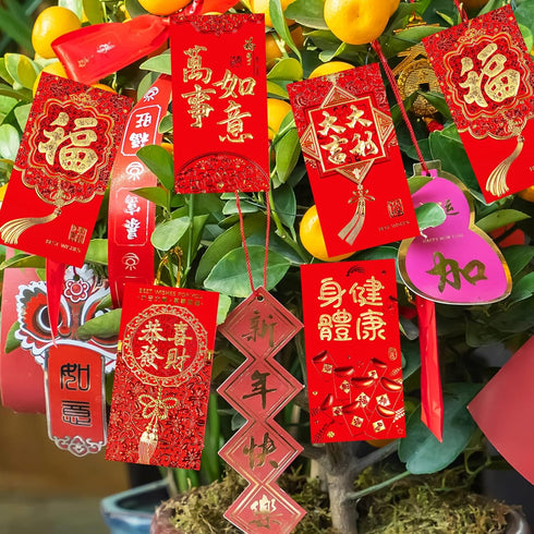 Winlyn 120 Pcs Asian Red Envelopes, 6 Designs for Chinese Hong Bao, Lucky Money Envelopes for Lunar New Year 2024