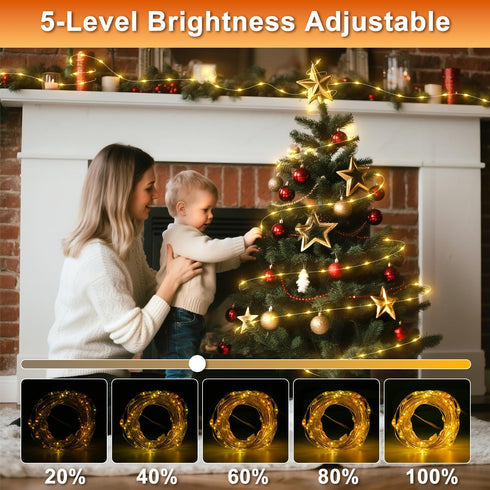 16.5ft 50 16 Decor(132 OMIKA LEDs Color Battery Operated & USB Powered String Lights, with Remote Timer Waterproof
