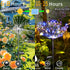 2 Pack Solar Firework Lights 150 LED 8 Modes Solar Garden Lights for Outside Waterproof Decorative Stake