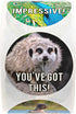 Motivational Animal Stickers, 500 Incentive Labels Roll, 1.5" Funny Inspirational School Clinic Reward Stickers