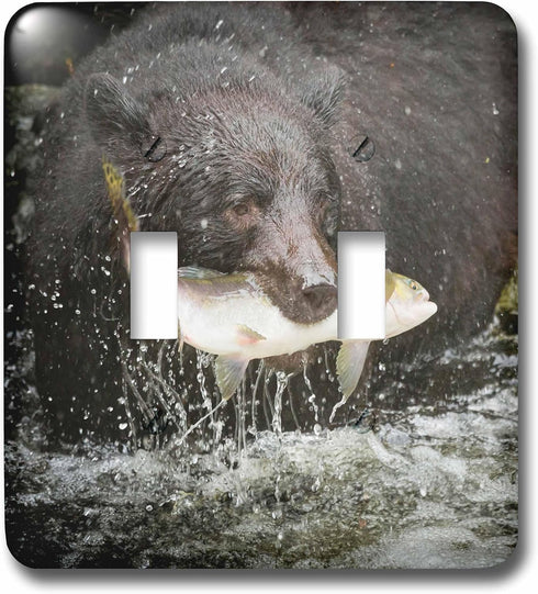 3dRose USA, Alaska, Anan Creek. Close-up of black bear catching salmon. double