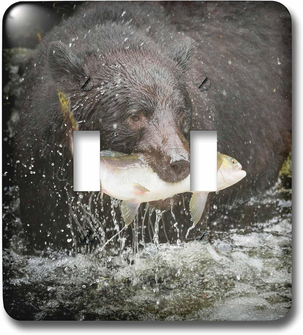 3dRose USA, Alaska, Anan Creek. Close-up of black bear catching salmon. double