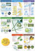 NewPath Learning Protists Bulletin Board Charts, Set of 8, Laminated, Double-Sided, Full-Color, 12" x 18" (94-7017)