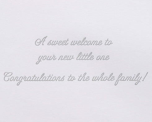 Sweet Welcome New Baby Card - Oh Baby!