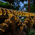 66ft 200LED 8 Solar Rope Lights, Solar String Lights, Modes Waterproof Solar Powered Outdoor Light, Flexible Clear Tube