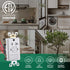 GFCI Outlet, Tamper Resistant GFCI Receptacle with Combination Switch, ETL Listed, White (TR20Amp)