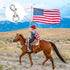 4PCS Flag Swivel Snap Clips, Heavy Duty Stainless Steel Flag Snaps for Pet Leash, Key Chain, Leather Craft