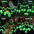 FENSAN Lights,2PACKS 16LED,IP65 Solar Halloween Lights Outdoor,Halloween Decorations Outdoor, Scary Eyeball Waterproof