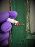 DEXSIL 2 Pack Lead Test - Instant Lead Test Swabs