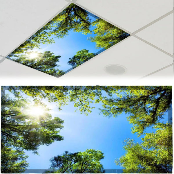 CASYUNE 2pcs Fluorescent Light Covers - Light Covers for Ceiling Lights Classroom Magnetic