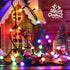 66ft 200 Dimmable Brizled LED Color Changing String Lights, Warm White & Colored Christmas Lights, Berry String Lights