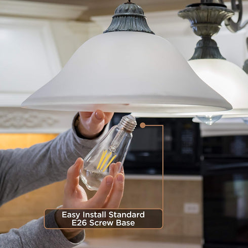 Hudson Vintage LED Edison Light Bulbs, 6W, 2200K Dimmable Warm Light, 60W Equivalent, E26/27 Base, 6 Pack