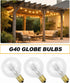 Adirxon 25-Pack G40 Bulbs, Bulbs 5W Dimmable, E12 2200K Globe Replacement Clear Glass Incandescent Light for Outdoor