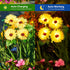 4 Pack 16 WdtPro Solar Lights Outdoor Garden Decor, Garden Lights with Glowing Daisy Flowers, Solar Flowers Outdoor