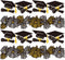Whaline 69Ft Graduation Bulletin Board Border, Graduation Cap Firework Shape Decoration for Classroom