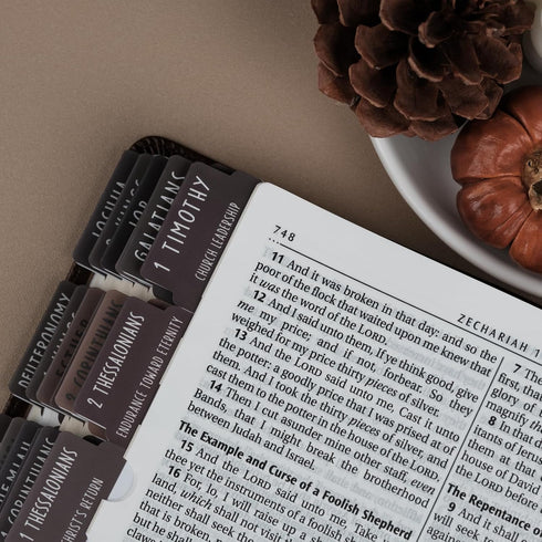 Summaries, 80Chapters UPAFEXXI-Laminated Bible Tabs with Book Bible Tabs for Women and Men, Reposition Large Print
