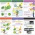NewPath Learning Photosynthesis & Respiration Bulletin Board Charts, Set of 6 - Laminated, Double-Sided, 12" x 18"