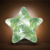 Burbuja 0.2W Tropical Leaves LED Night Light Plug into Wall Star-Shaped Nightlight Dusk to Dawn Auto Sensor for Bedroom