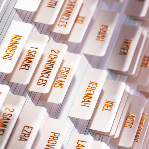 DiverseBee Laminated Bible Tabs - 73 Bible Tabs with Copper Embossed Lettering for Journaling