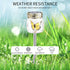 SUNWIND 3 Pack Solar Garden Lights Outdoor Decorative - Decorative Butterfly Glass Jar Lights for Pathway, Lawn, Yard