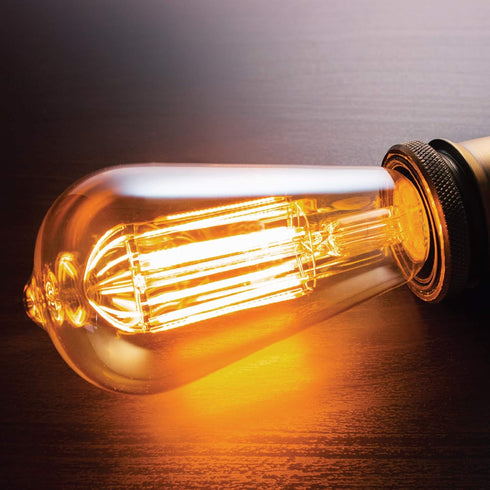 ST64INC-6 ST64 Bulb 6-Pack Bulbs-ST64 60 Watts-Dimmable, (E26) E27-Squirrel 6-Pack, 2.7, Newhouse Lighting Vintage