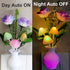 4 Pack AUSAYE Plug in LED Night Light Sensor Rose Light, Energy Saving Lamp Dream Nightlight Rose Flower Mushroom Night