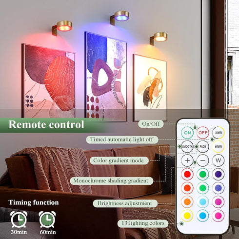 KELUOLY 2-Pack 13 Dimmable Picture Light Battery Operated Painting Lights, Color RGB Magnetic LED Display Art Light