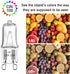 G9 Bulbs 25W 120V T4 (12 Pack) Bulb Bulbs, 2700K, Dimmable TAIYALOO Halogen Light JCD Type Bi-Pin Xenon Small Light
