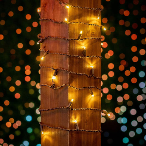 70 24 Commercial 21 Sets Warm White Wide Angle LED Mini Lights on Brown Wire Ft Grade Christmas String Lights, Full