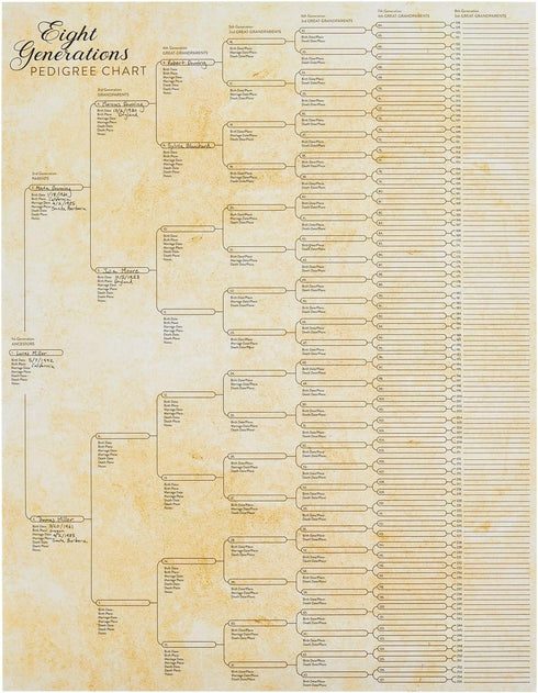 Okuna Outpost 15 Pack Family Tree Charts to Fill In, Off-White Poster Paper, 8 Generation Genealogy Charts