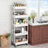 5-Tier Sywhitta Plastic Rolling Utility Cart with Handle, Multi-Functional Storage Trolley for Office, Living Room