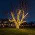 70 24 Commercial 21 Sets Warm White Wide Angle LED Mini Lights on Brown Wire Ft Grade Christmas String Lights, Full