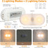LIBERATECH 2-Color (2 Pack) Rechargeable Motion Sensor Night Light, White & Warm Toilet Light with Auto/On Mode