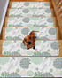 BOHOOSKYLAR 4 8"x30" Gray Lobster Stair Treads Ocean Starfish Green Coral Shell Marine Life Indoor Non Slip Peel