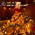 300 108FT 8 Techip LED Christmas Lights Outdoor, Warm White Christmas Tree Lights Outside Waterproof Twinkle Lights