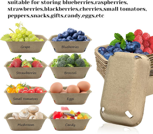30 Pack Rainmae Natural Pulp Fiber Large Berry Basket for Picking Fruit, Molded Berry Basket for Blueberry Raspberry