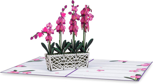 Paper Love 3D Orchids Pop Up Card, Gift for Birthday, Wedding, Anniversary, 5" x 7" Cover with Envelope