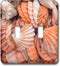3dRose Key West, Seashells Double Toggle Switch (lsp_206124_2)