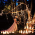 2 Pack 50 Count 12 Bulb Brightown Each Feet Clear Christmas Mini Lights - Green Wire Incandescent Mini String Lights