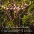 26 Commercial 12 1W Bulbs, Brightech Ambience Pro LED String Lights - Ft Grade Patio Lights Outdoor Waterproof - Globe