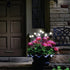 Sensor Brite Solar Garden Lights, Pack of 2 Adjustable Outdoor Lights with 10-Hour Illumination