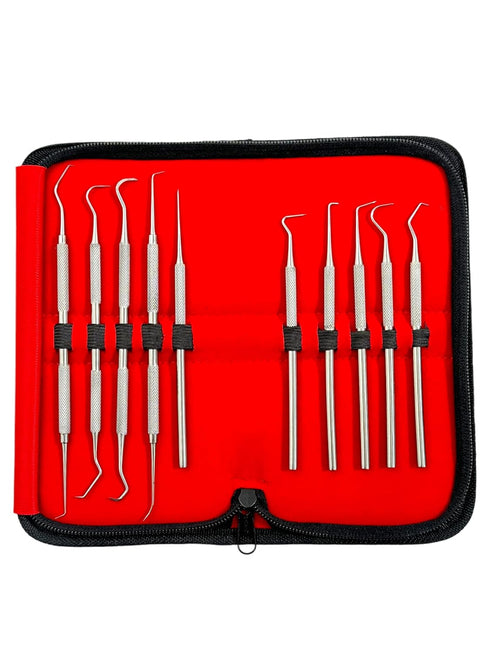 Avon Surgical Set 10 Precision Probe of Pieces Dental Hygienist Oral Care Picks Single and Double-Ended with Varying
