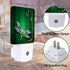 Mystical Dragonfly Night Light Plug in Wall Lamp Smart Dusk to Dawn Sensor for Home Decorative, Kids Room Bedroom