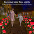 10 2 Pack Solar Garden Lights, Solar Outdoor Lights with More Realistic Rose Waterproof Solar Powered Flowers