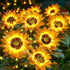 Solar Flowers Outdoor Waterproof: Gifts for Mom Mothers Day - 6 Pack